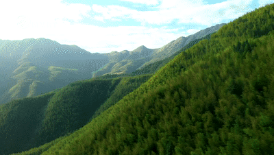 ΢��ͼƬ_20230101114811.gif