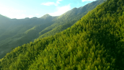 ΢��ͼƬ_20230101114815.gif
