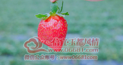 ΢��ͼƬ_20230212102252.png