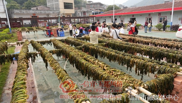 7.JPG