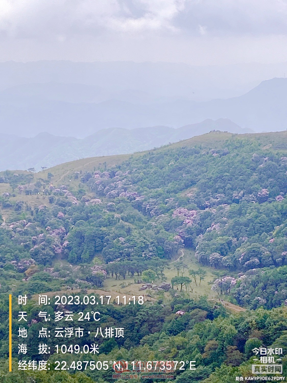 19230D4D-51A7-43EB-B650-16A2205573F5.jpeg