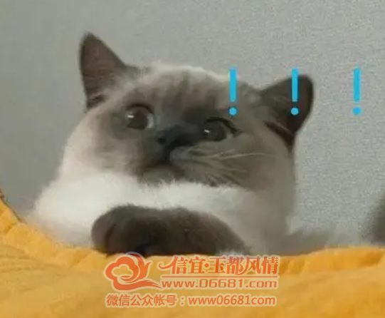 ΢��ͼƬ_20230427095741.png