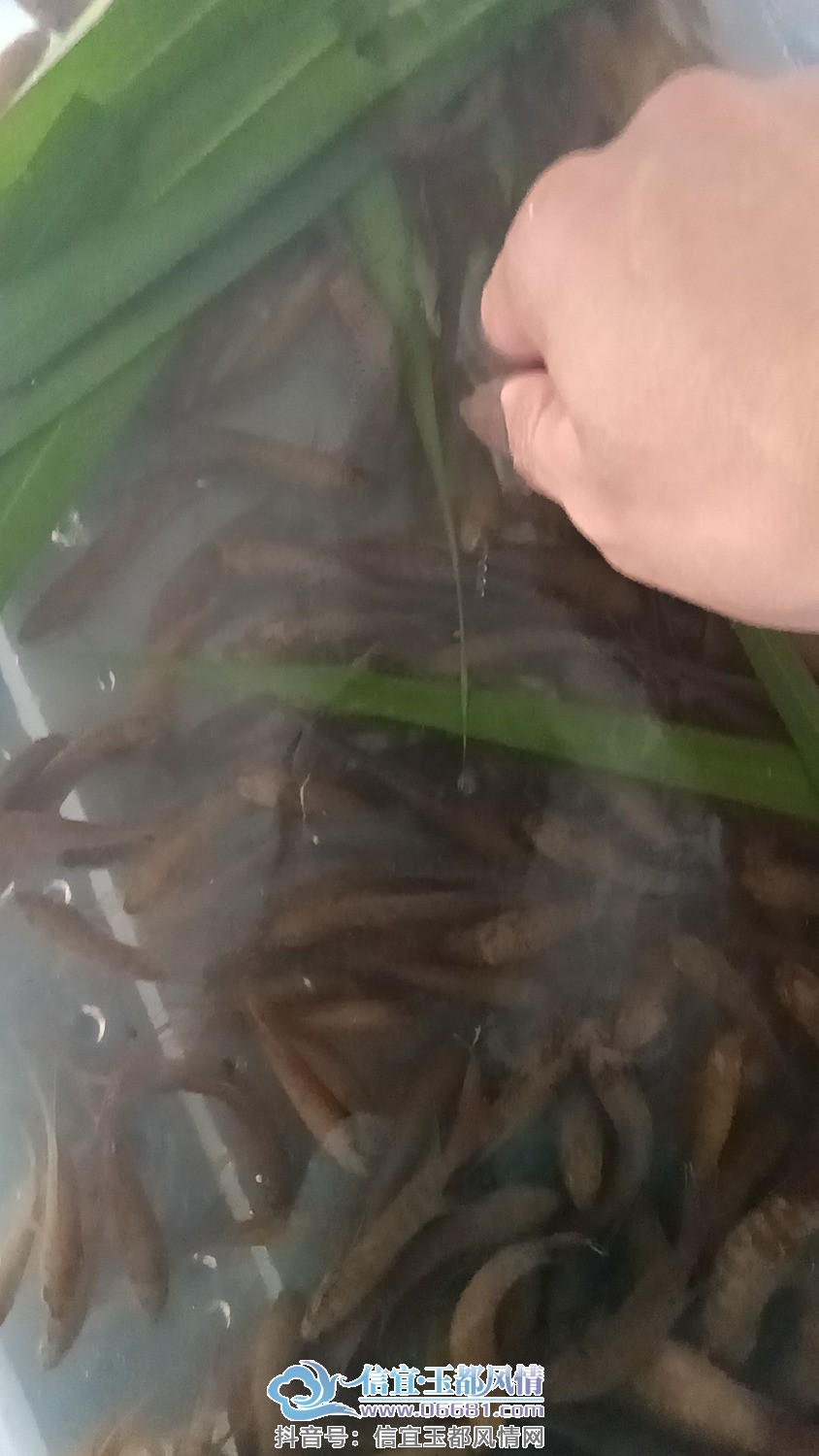IMG_20230418_145248_1.jpg