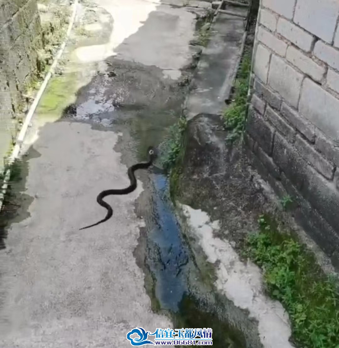 ΢��ͼƬ_20230710110504.jpg