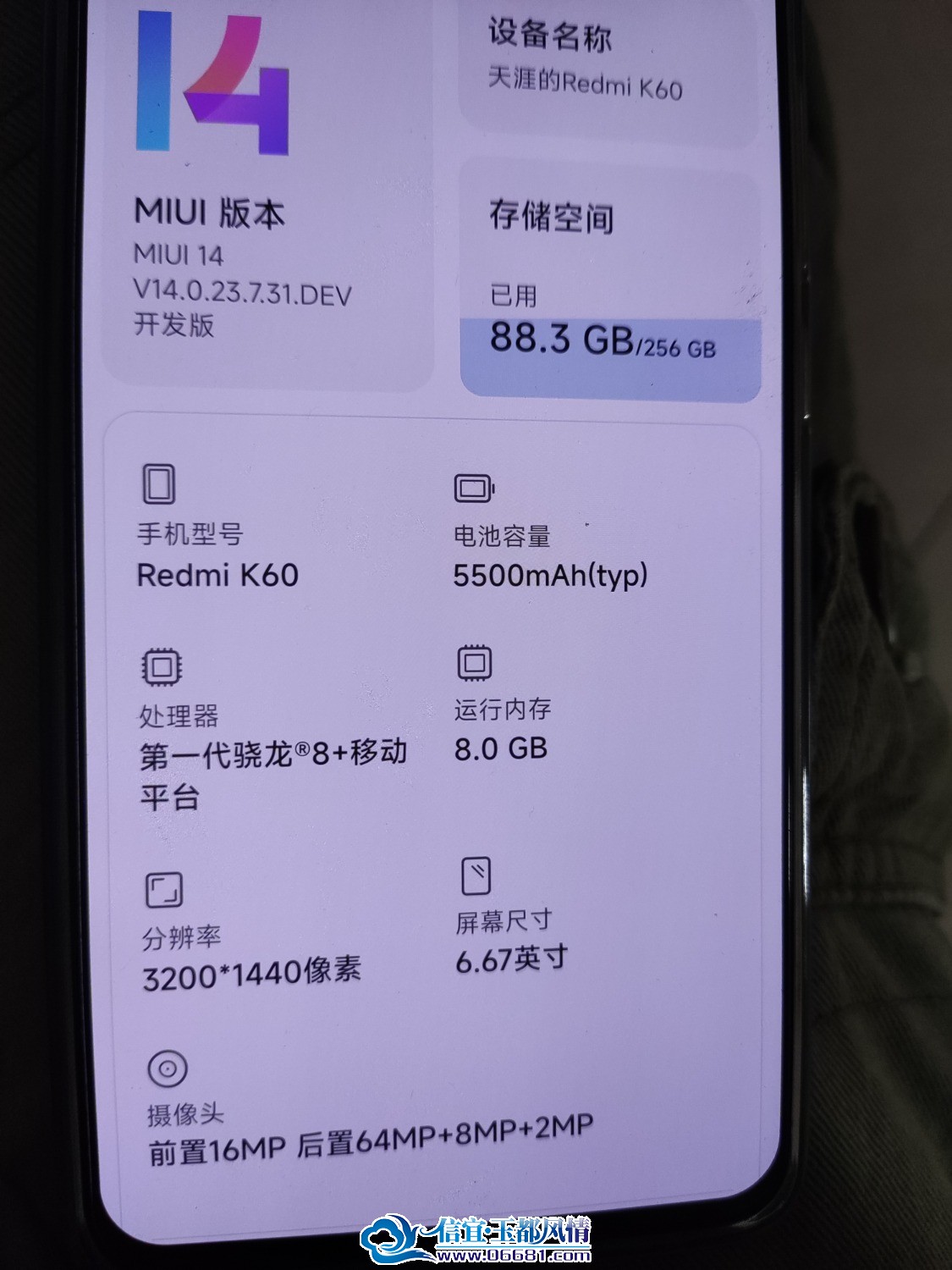 IMG_20230808_073500.jpg