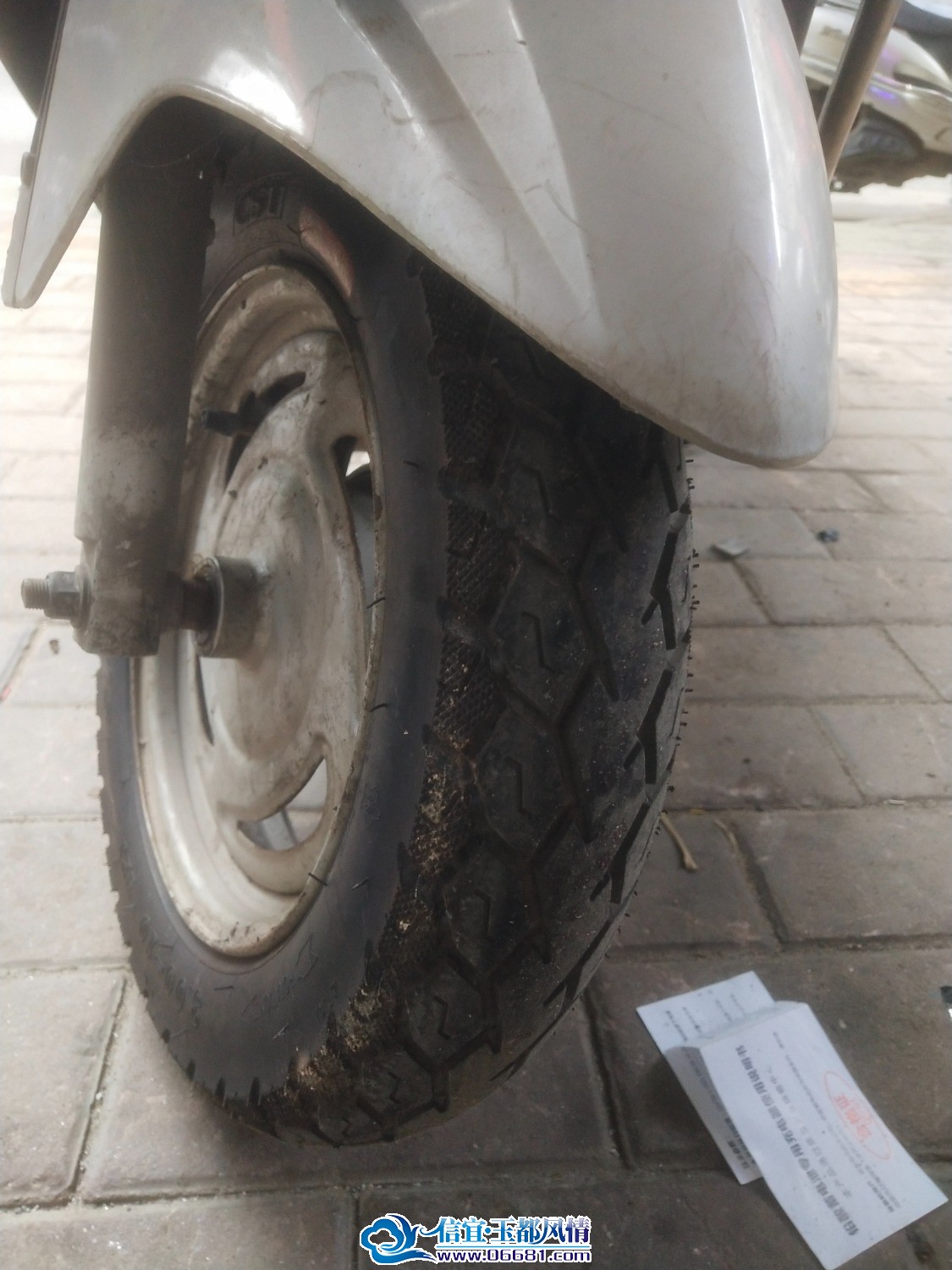 IMG_20230808_175354.jpg