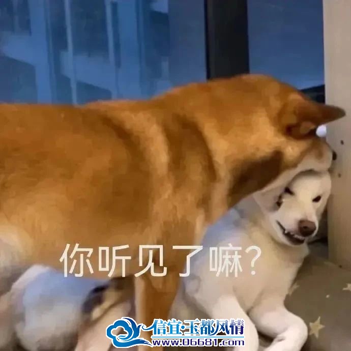 ΢��ͼƬ_20230829101709_1.jpg