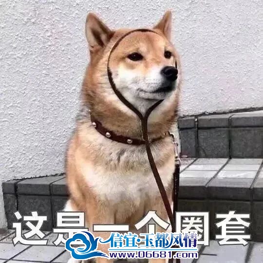 ΢��ͼƬ_20230829101709_6.jpg