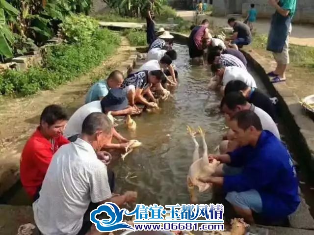 ΢��ͼƬ_20230830094201_2.jpg