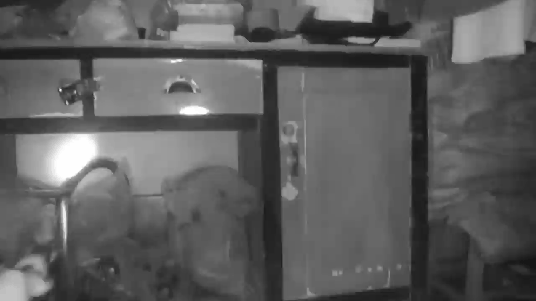 ΢��ͼƬ_20231019102127.gif