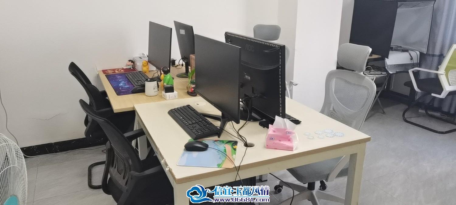 wx_camera_1733295260532.jpg