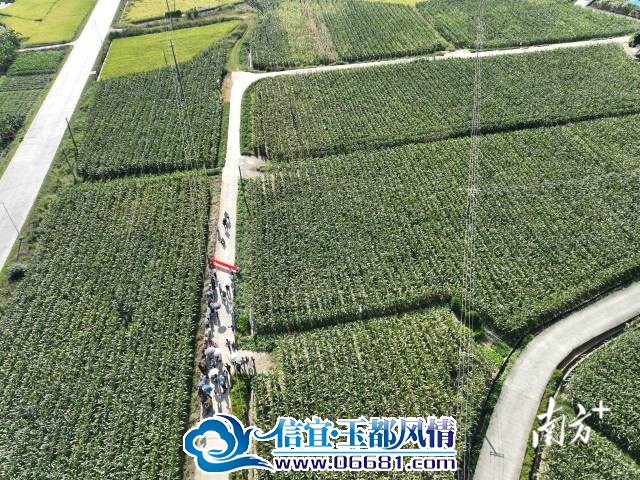 79d4596aafa24494aaec83122421f479_batchwm.jpg