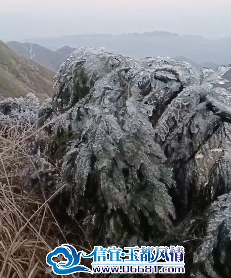 ΢��ͼƬ_20250210111503.png