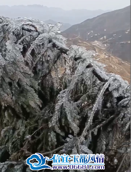 ΢��ͼƬ_20250210111507.png