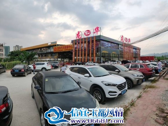 mmexport1739177355359.jpg