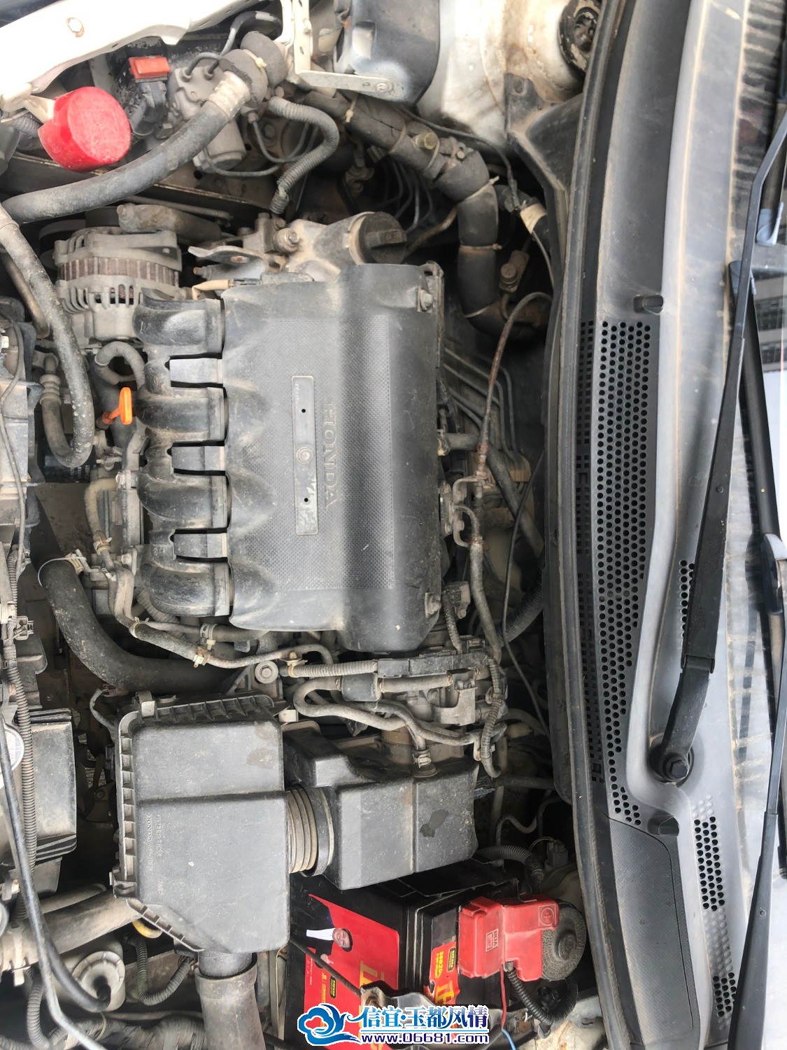 mmexport1739852573899.jpg