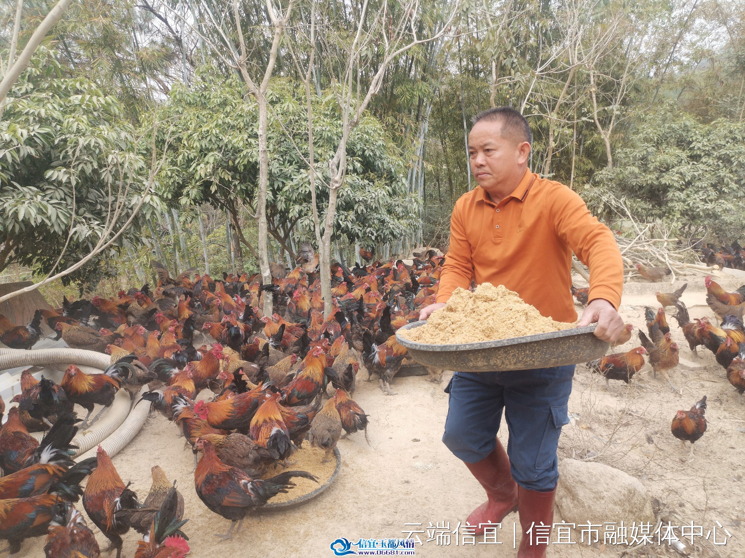 touchtv1740034993-no2au6mfmvwpeilx174003499156420164.jpg