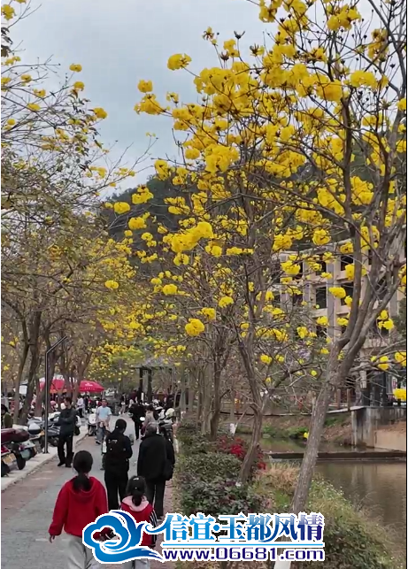 ΢��ͼƬ_20250224101142.png