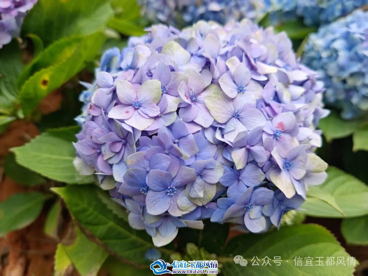 ΢��ͼƬ_20250311172451.jpg