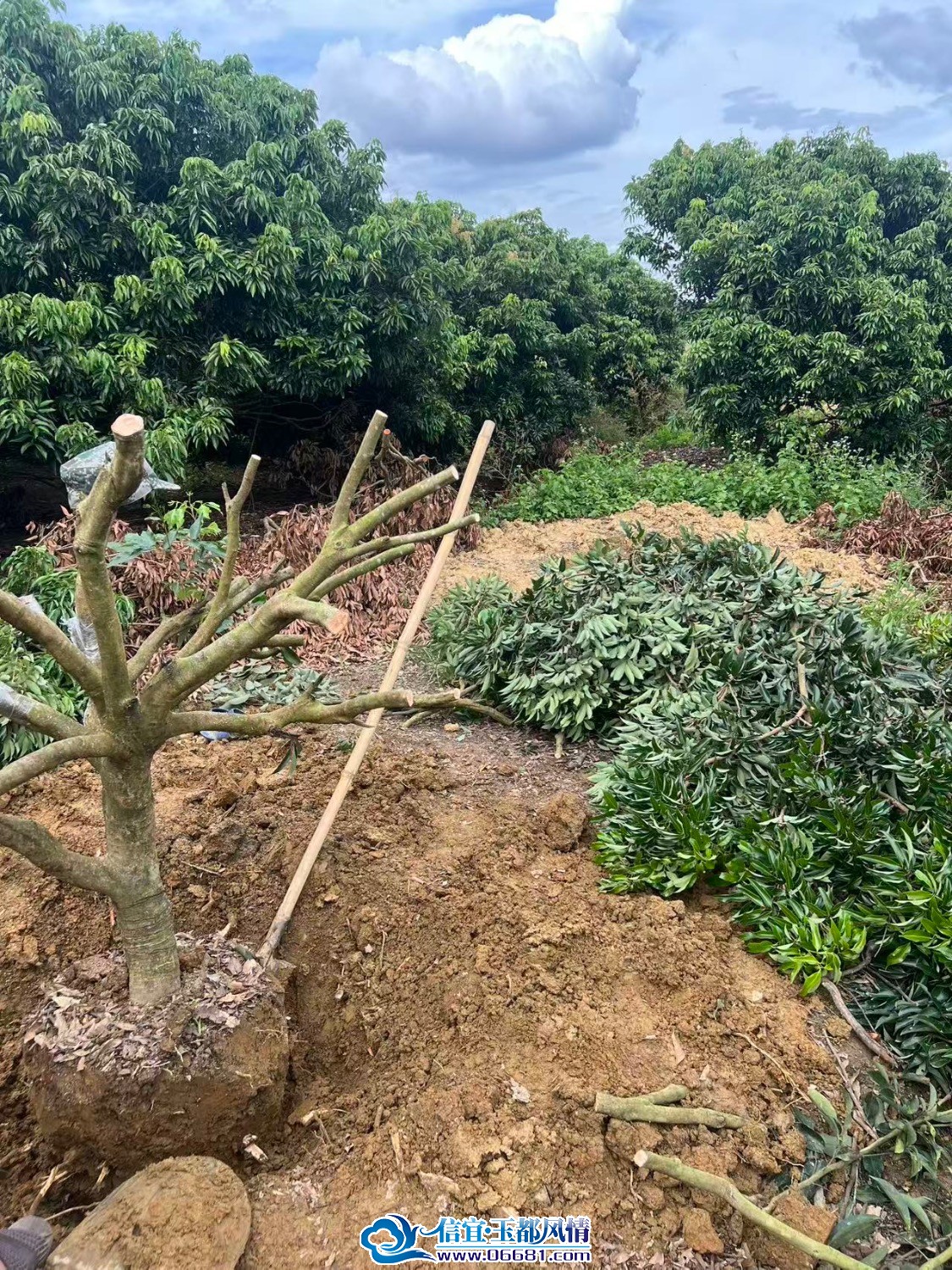 57f0e11b40162bc0fd89735d5d1ecfde.jpeg
