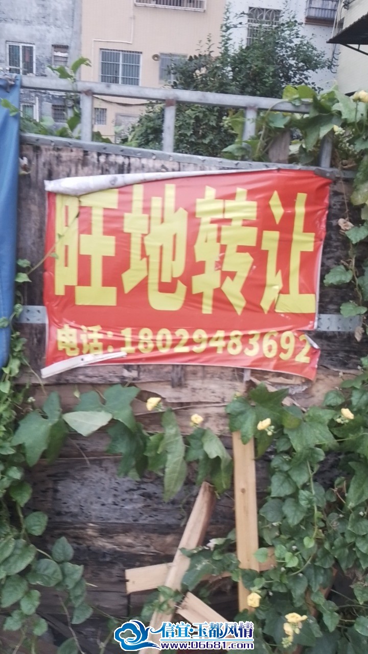 wx_camera_1761644382638.jpg