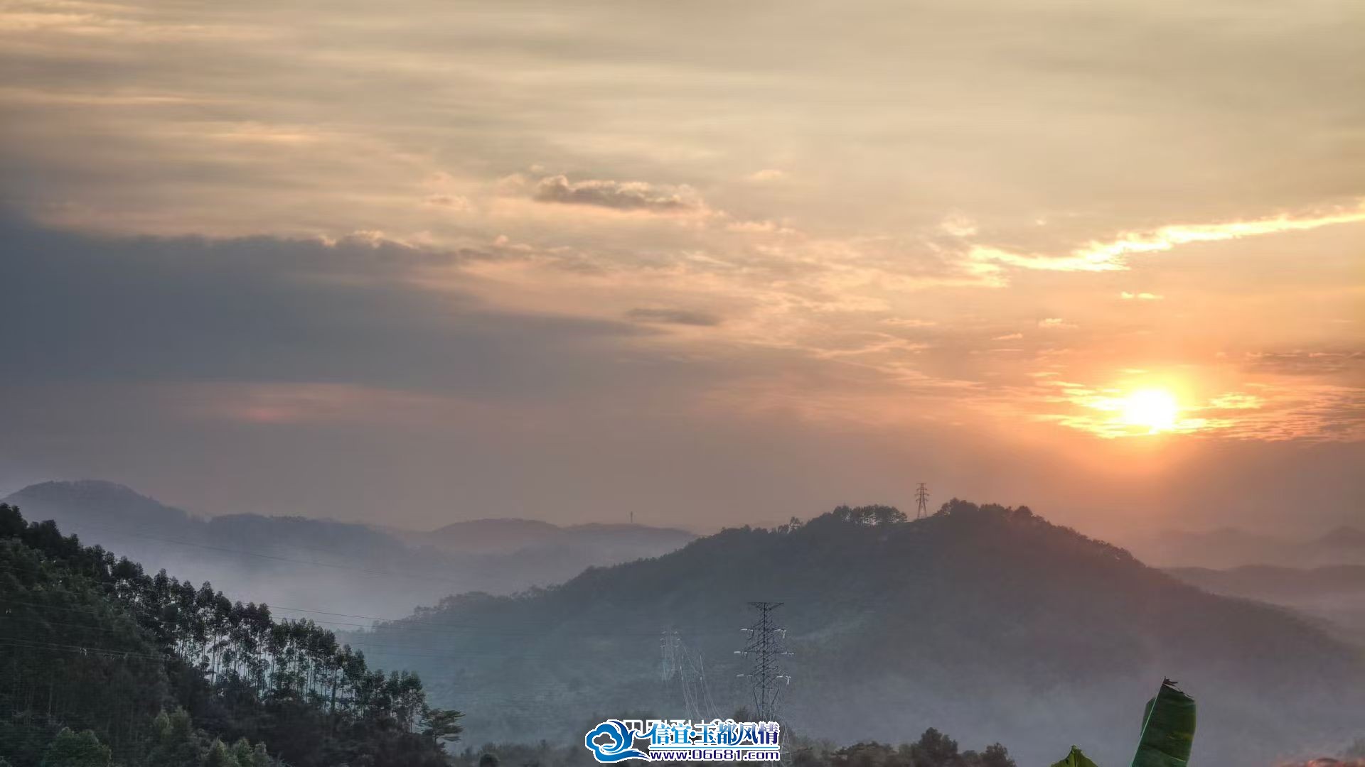 ���øھ�ɫ3.jpg
