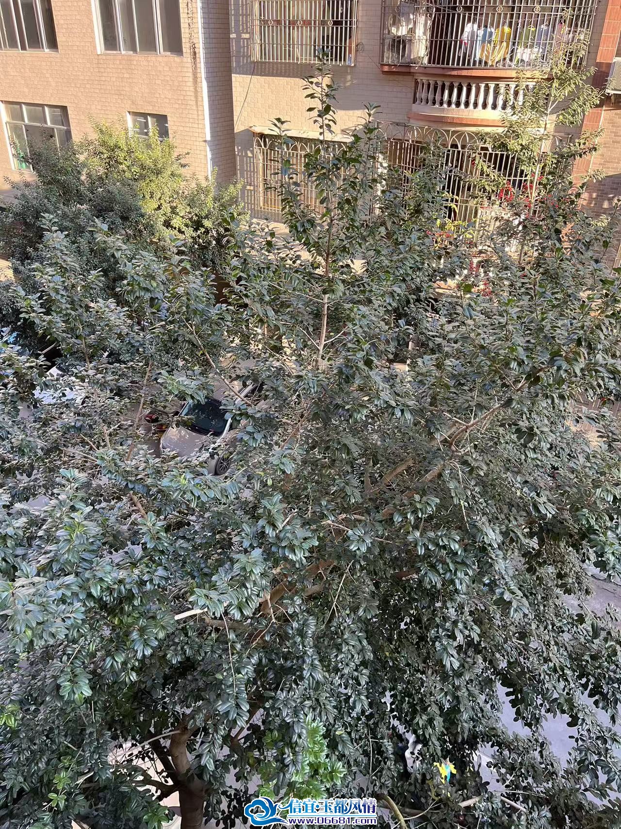 ΢��ͼƬ_20251218212940_775_2.jpg