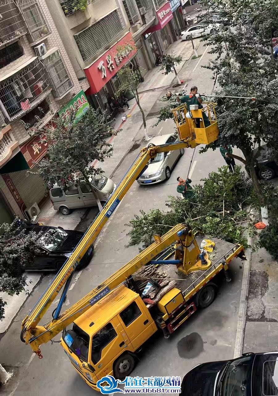 ΢��ͼƬ_20251222084231_94_212.jpg