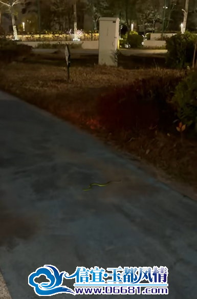 ��.png