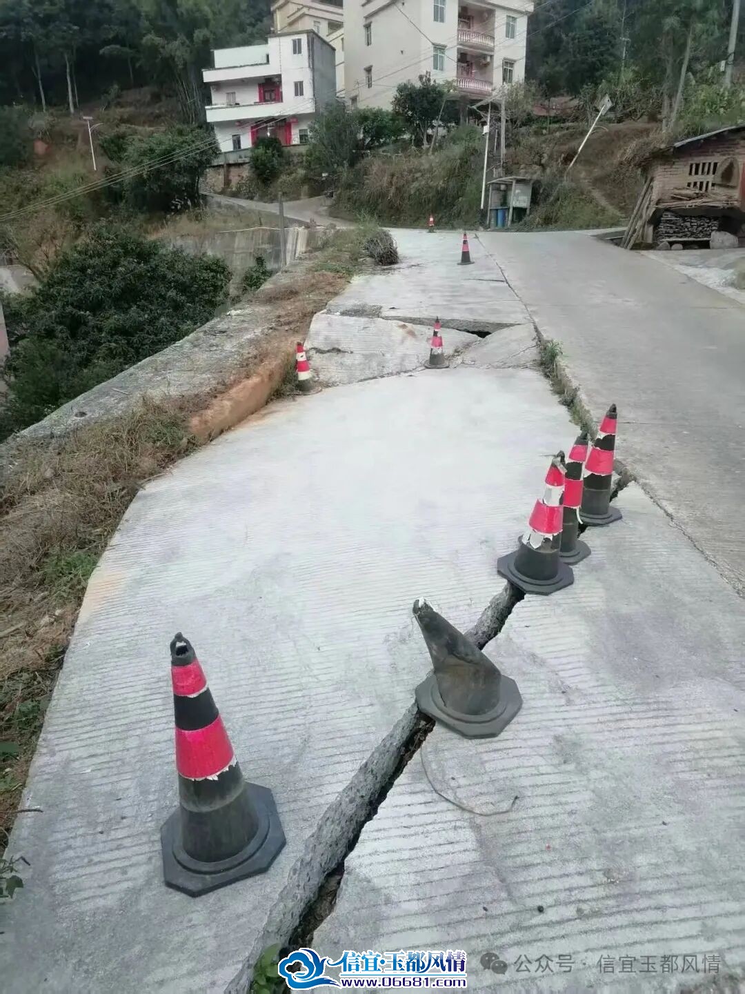 111.jpg
