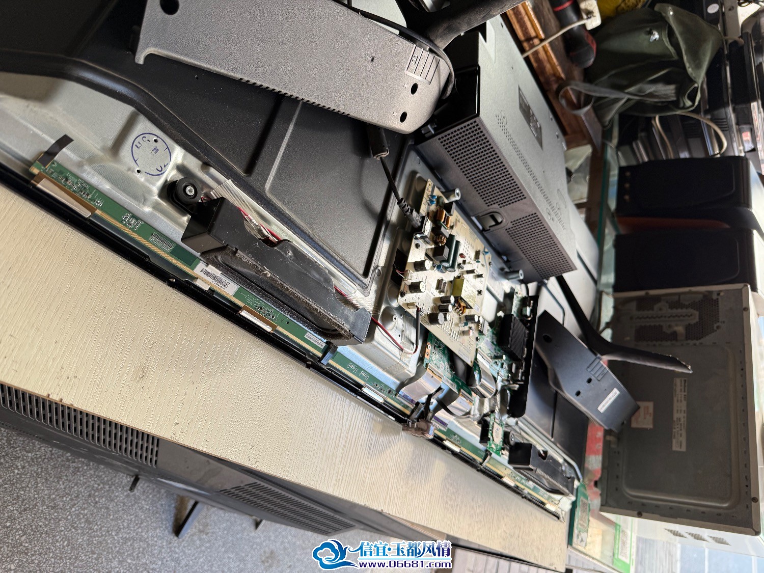 IMG_2150.jpeg