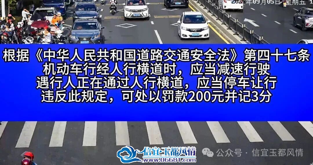 ����������5.jpg
