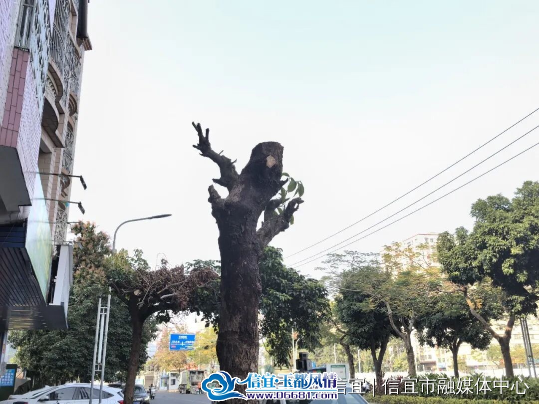 ��Ӧ����1.jpg