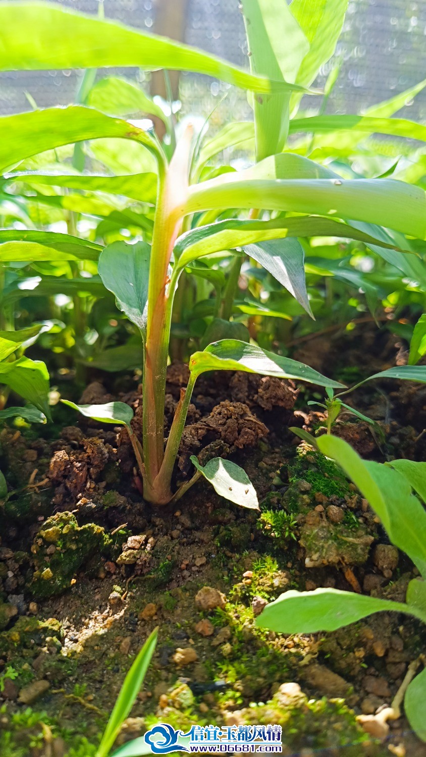 MVIMG_20260103_132651.jpg