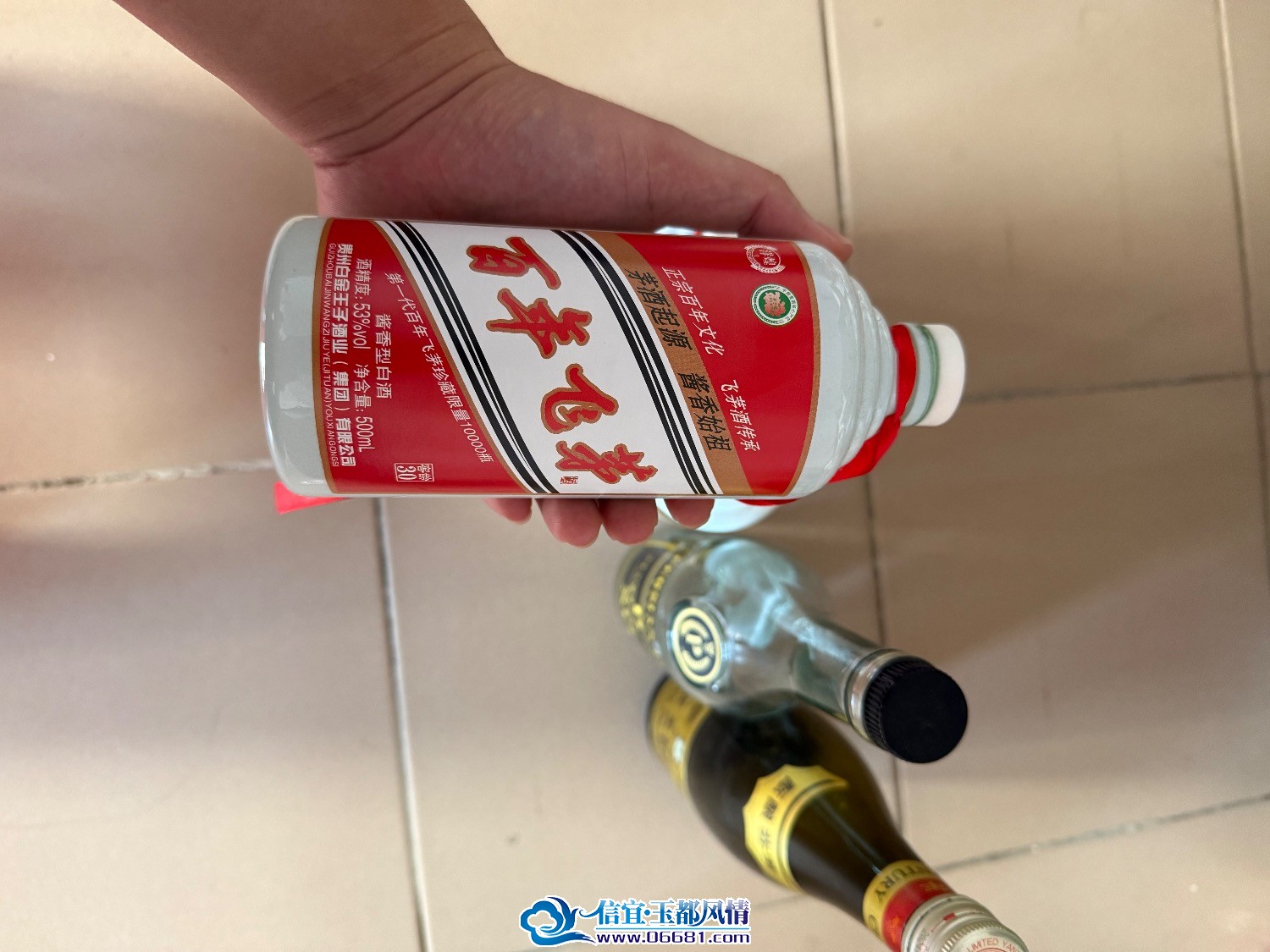 IMG_2275.jpeg
