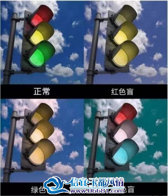 08d2048d6e92fb7a6839214ad71ee6e2.jpg