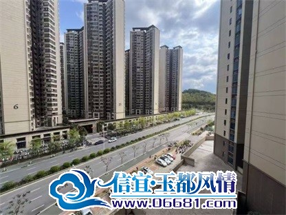 f435d0c5aeef902c3bcf0cb07d6d6579.jpg