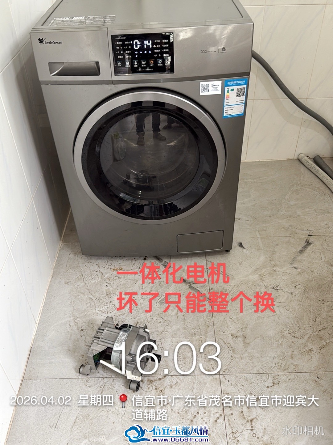IMG_3815.jpeg