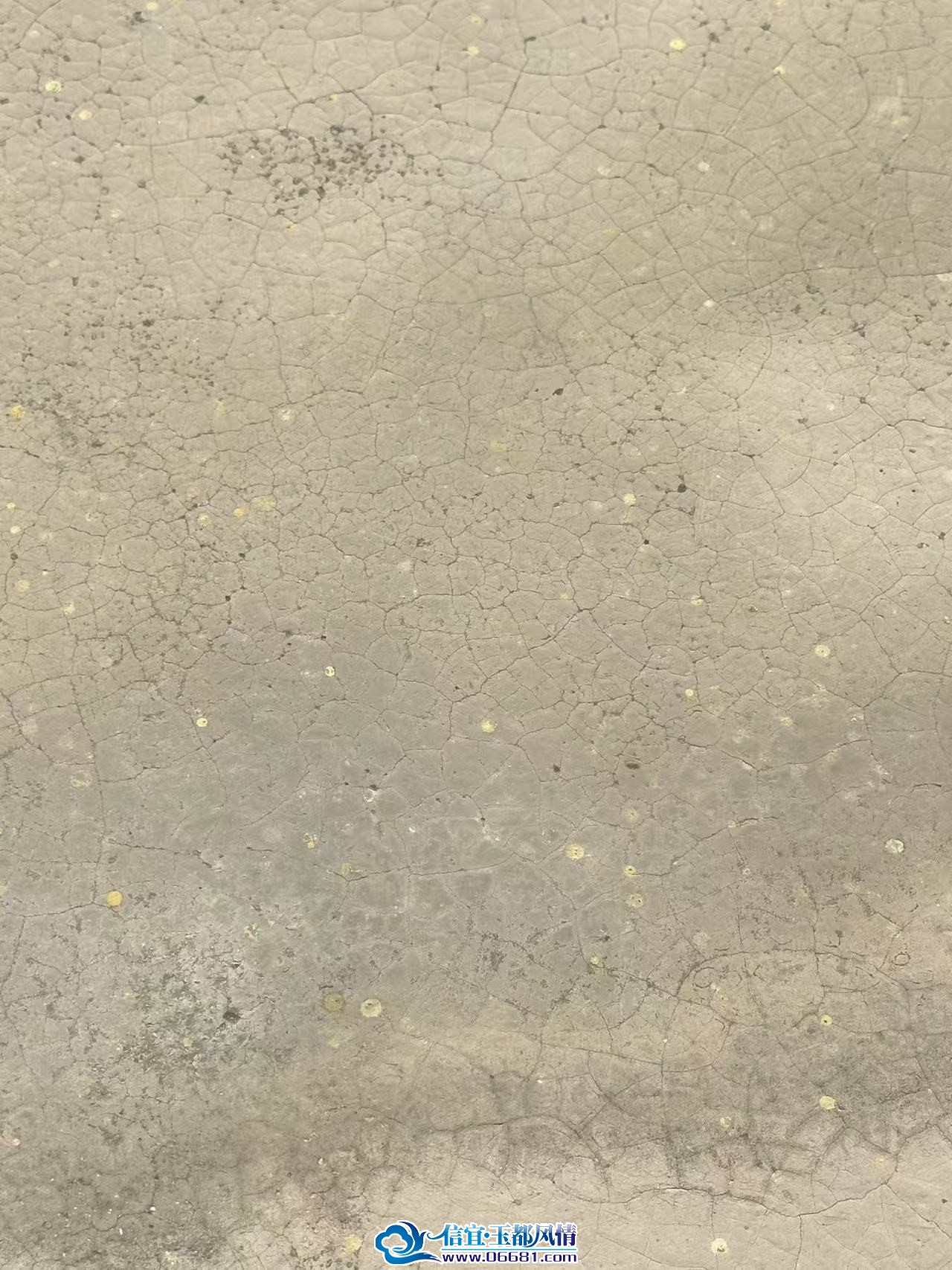 ¥������