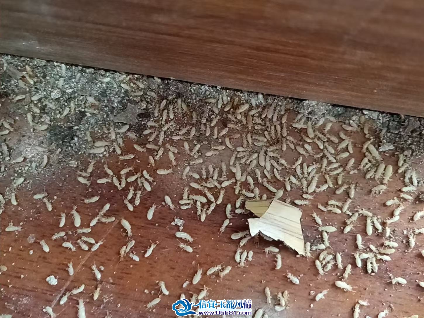 ���Ϸ���