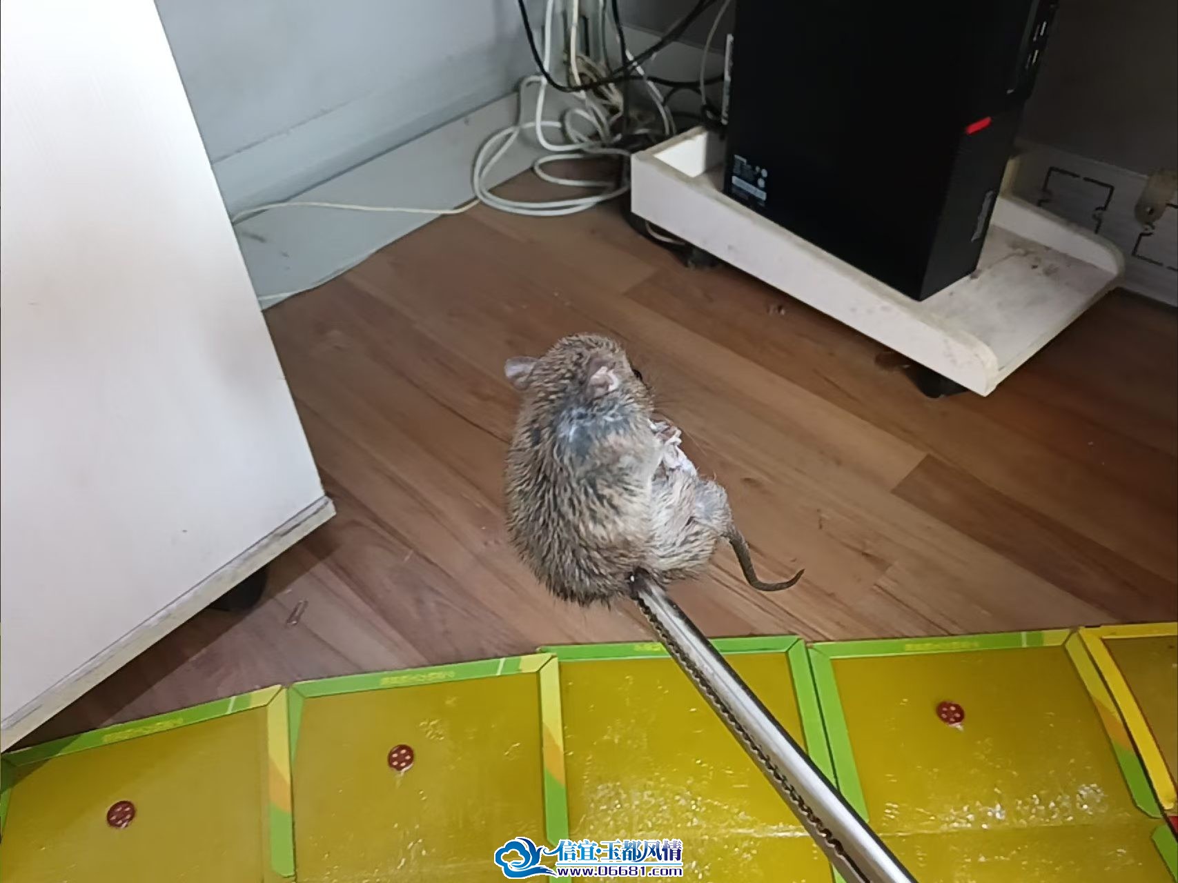 ����