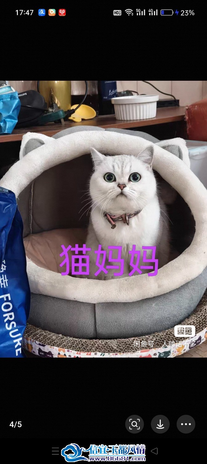 Screenshot_2026-07-20-17-47-23-68_0dff84d2da4d0ad536cbb4d749024dd6.jpg