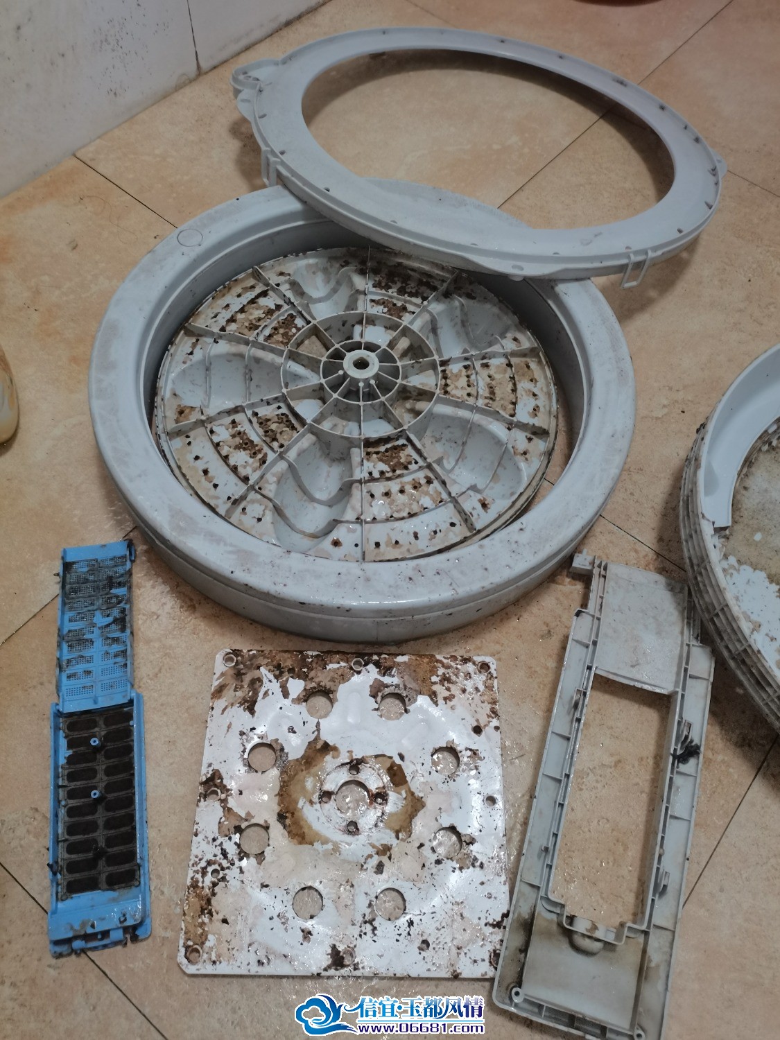 IMG_20260720_174418.jpg