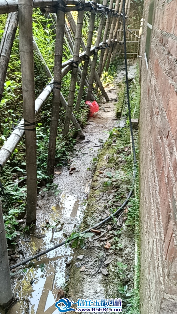 wx_camera_1786525935463.jpg