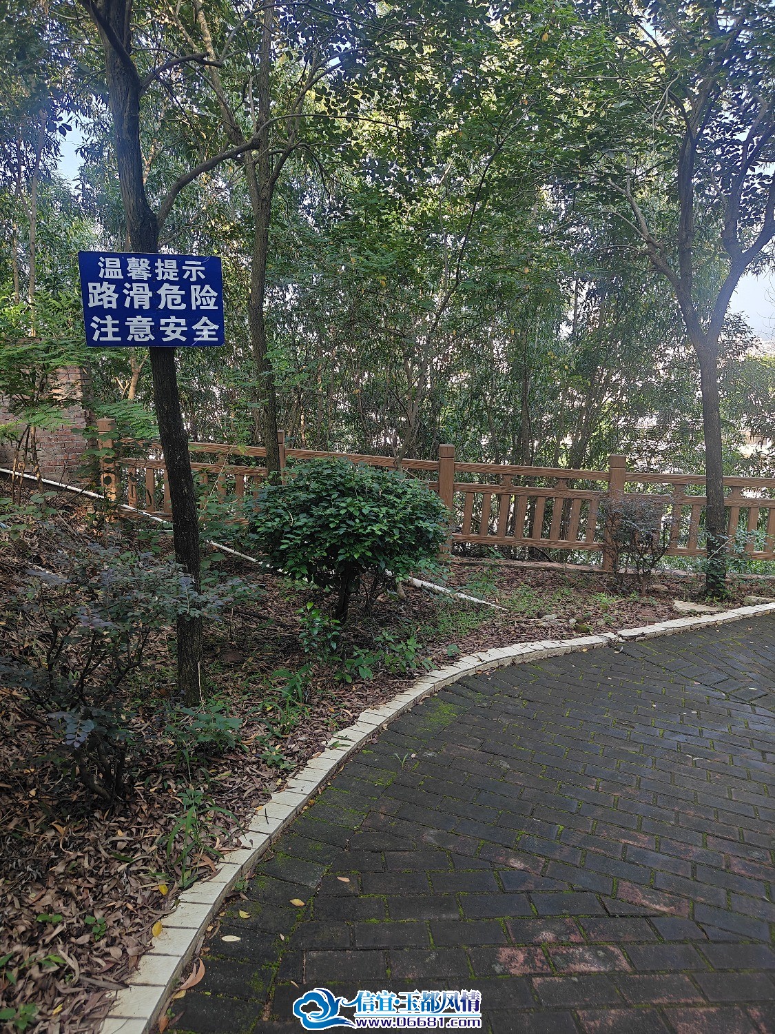 IMG20260918084147.jpg