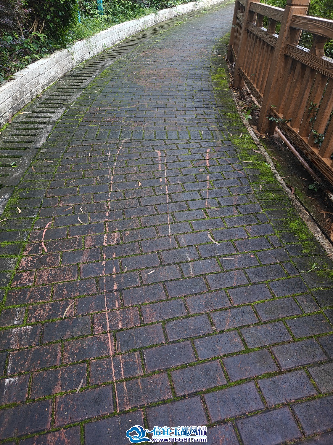 IMG20260918084022.jpg