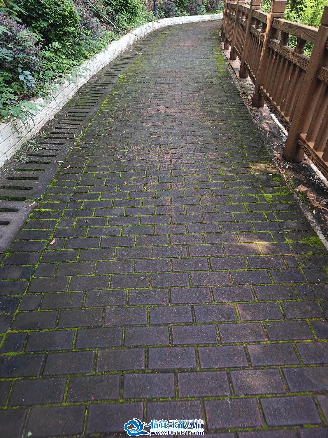 IMG20260918083953.jpg