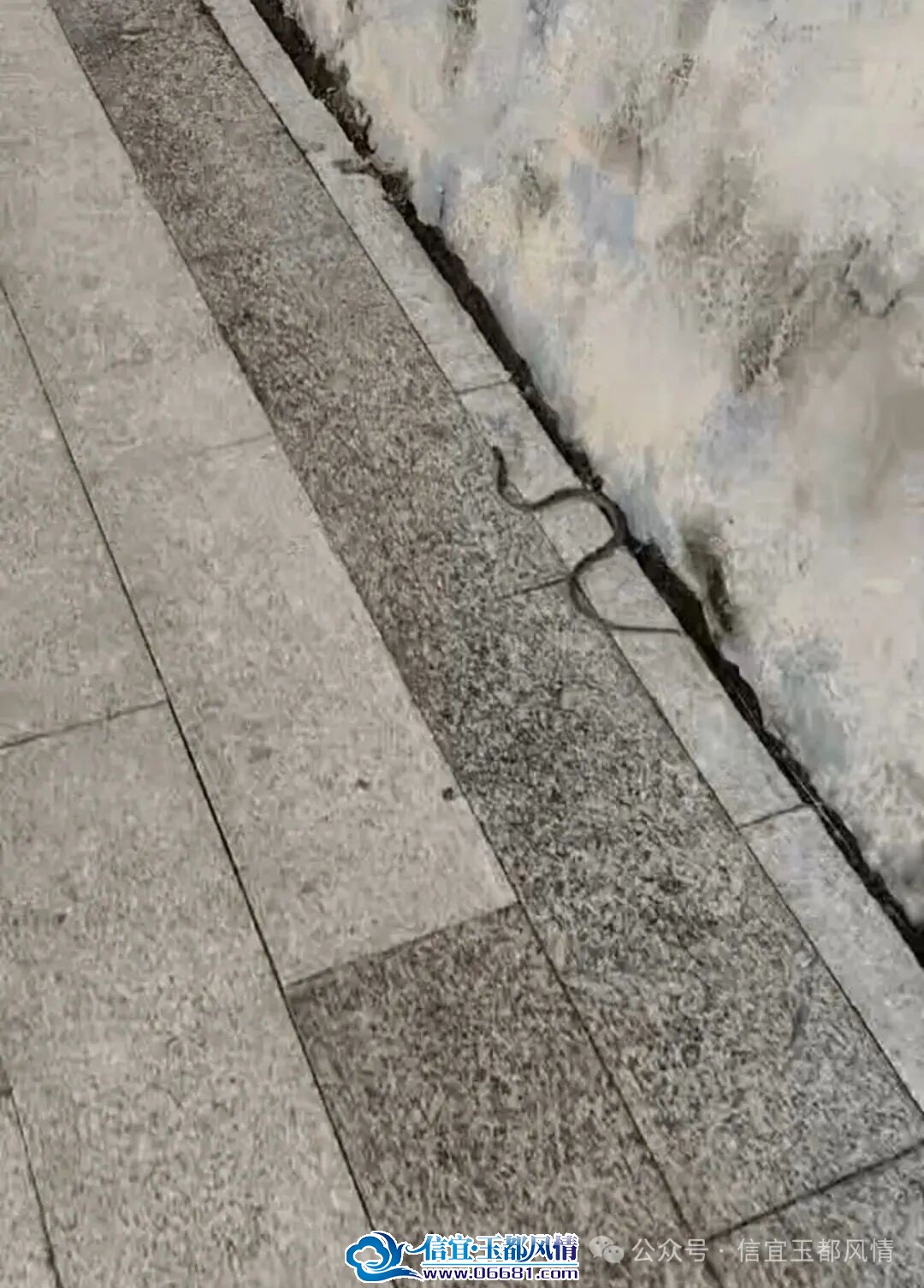 ���ˣ��������������ּ��߳�û��ɢ����ֻ�˵�ͷ���ֻ�