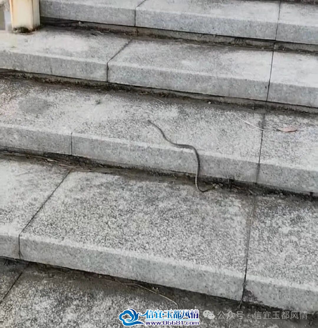 ��2.jpg
