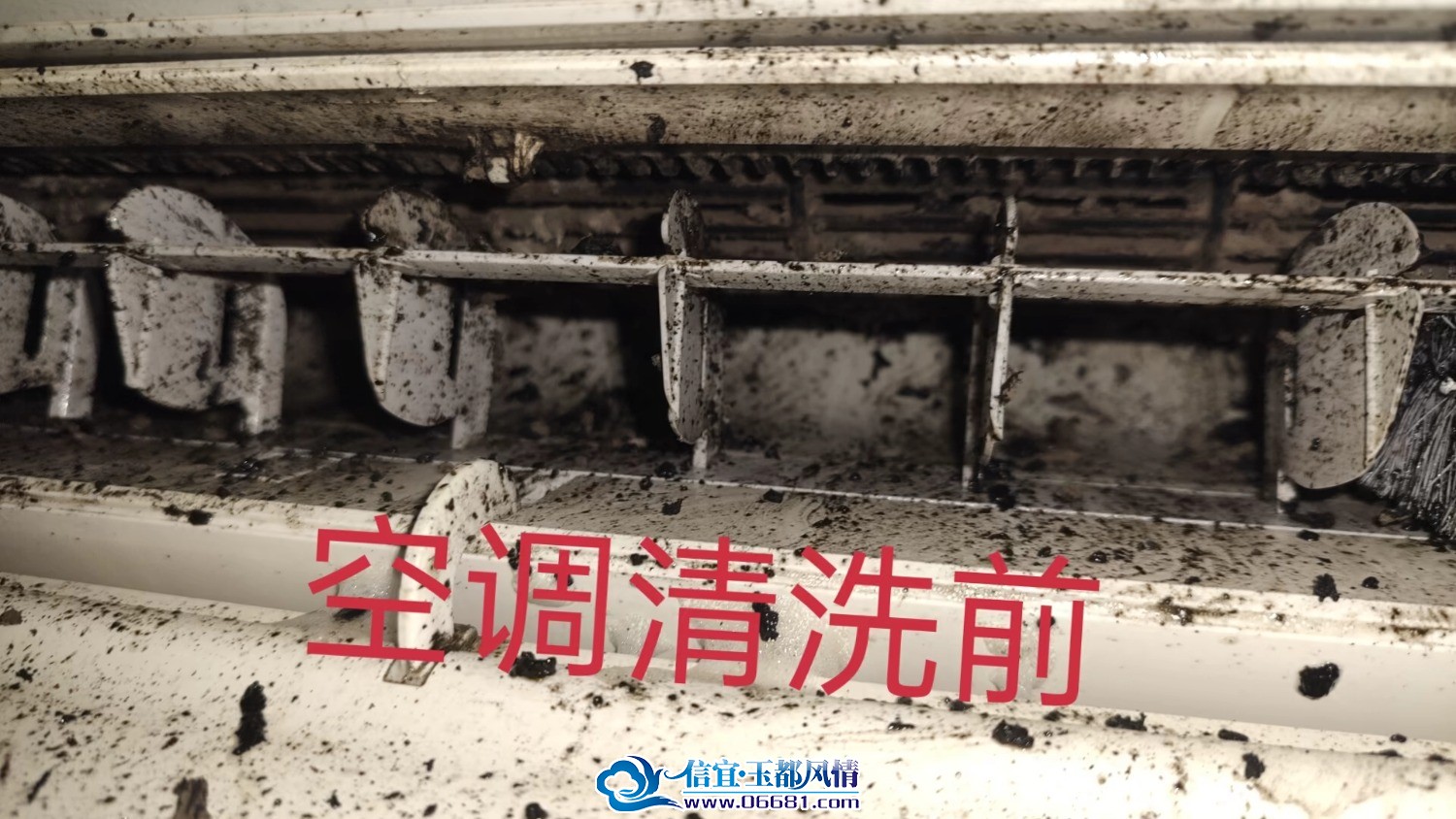 家电清洗,为健康保驾护航